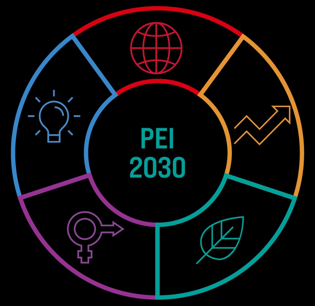 PEI 2030 — Plan Estratégico Institucional