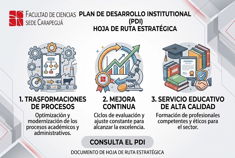Plan de Desarrollo Institucional — Hoja de ruta estratégica