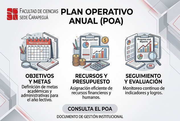 POA — Plan Operativo Anual, Facultad de Ciencias Sede Carapegua UNVES
